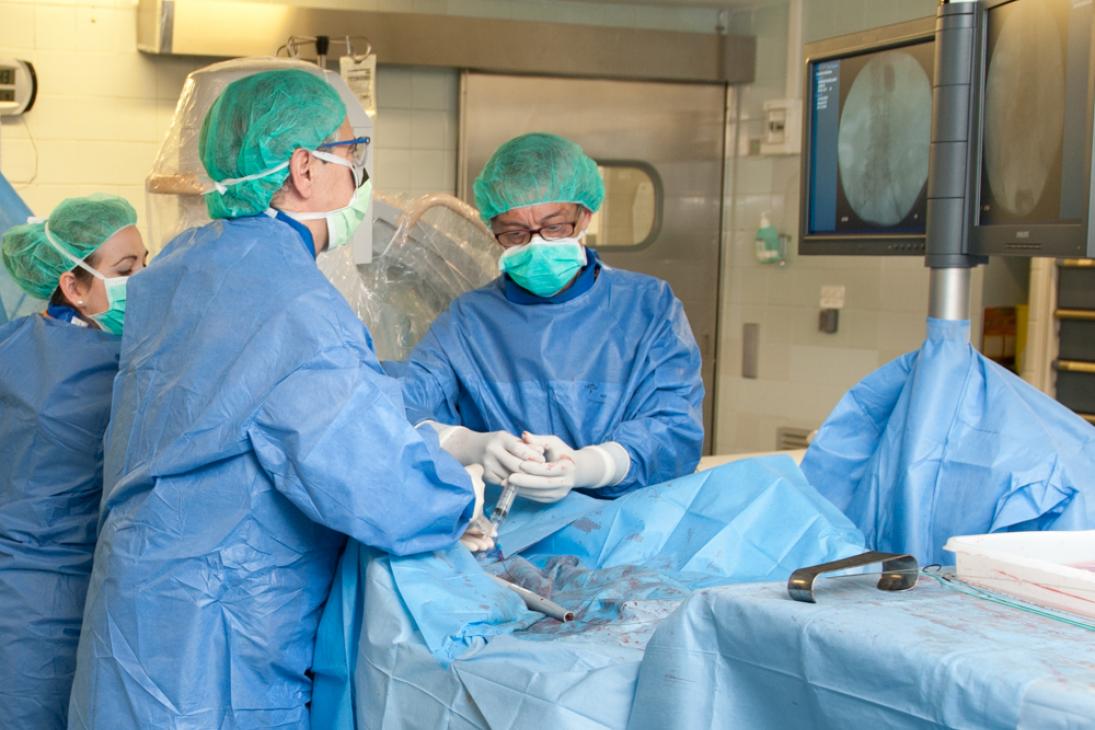 Cirurgia arterial endovascular HUB