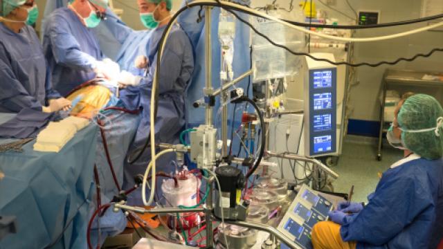 Bellvitge torna a liderar la implantació de cors mecànics a tot l’Estat l’any 2018_hub