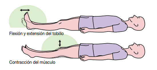 flexion tobillo