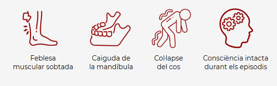 símptomes Cataplexia