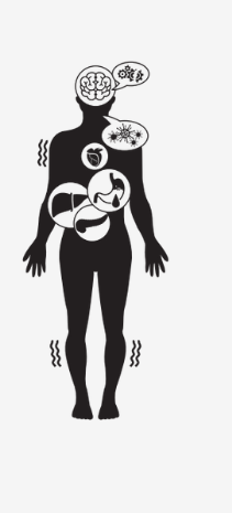 afectacions alcohol afectacions alcohol