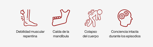 síntomas cataplexia castella síntomas cataplexia castella