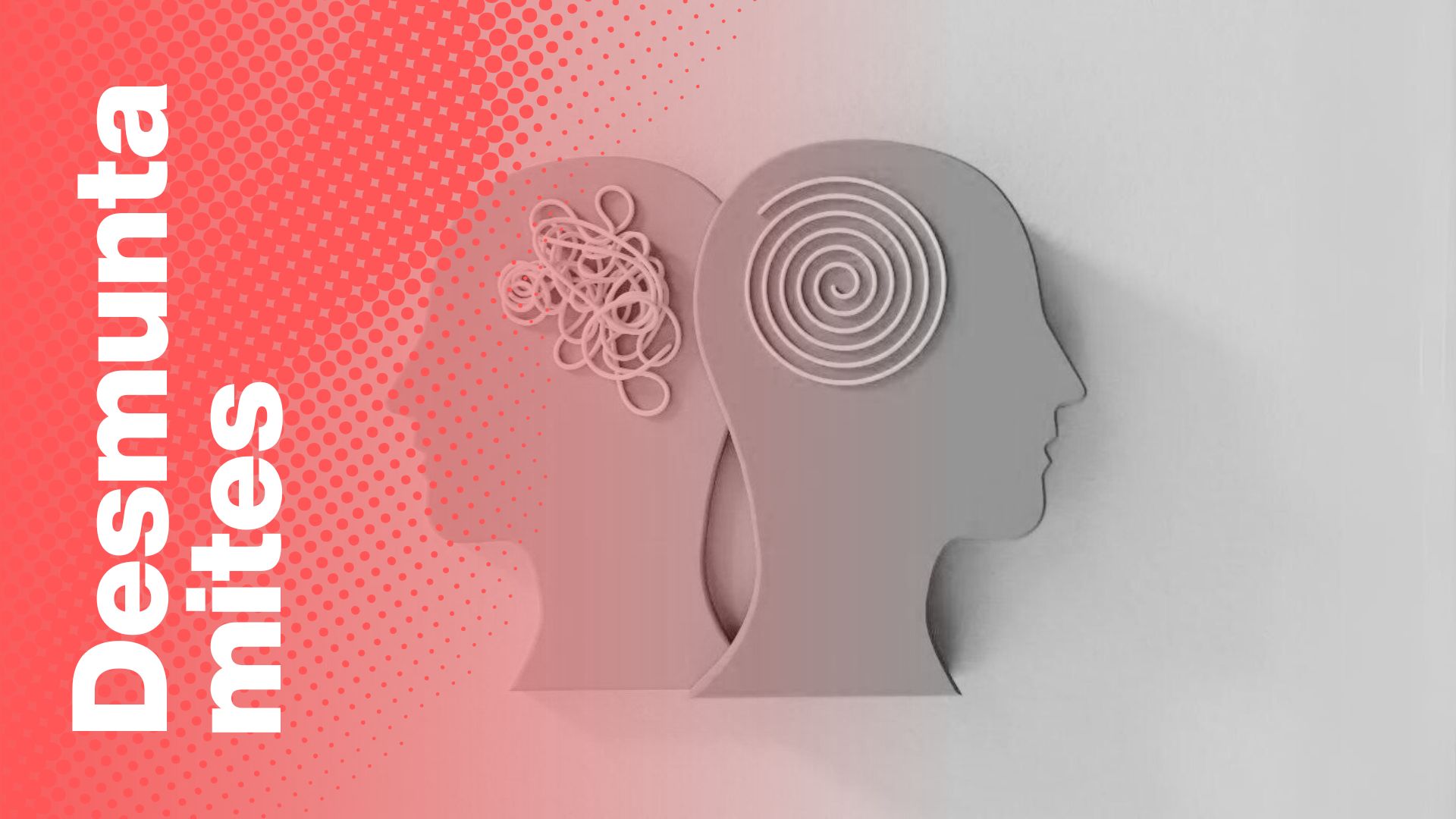 desmuntamites esquizofrenia portada