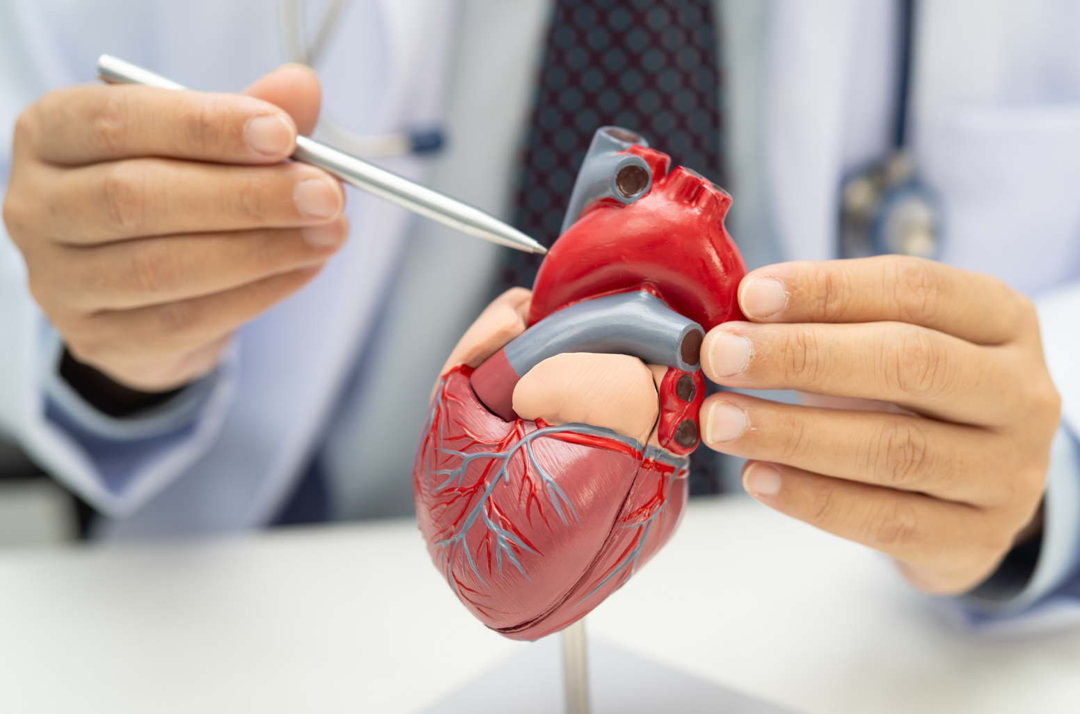 Implantació de vàlvula aòrtica transcatèter (TAVI): tota la informació clau