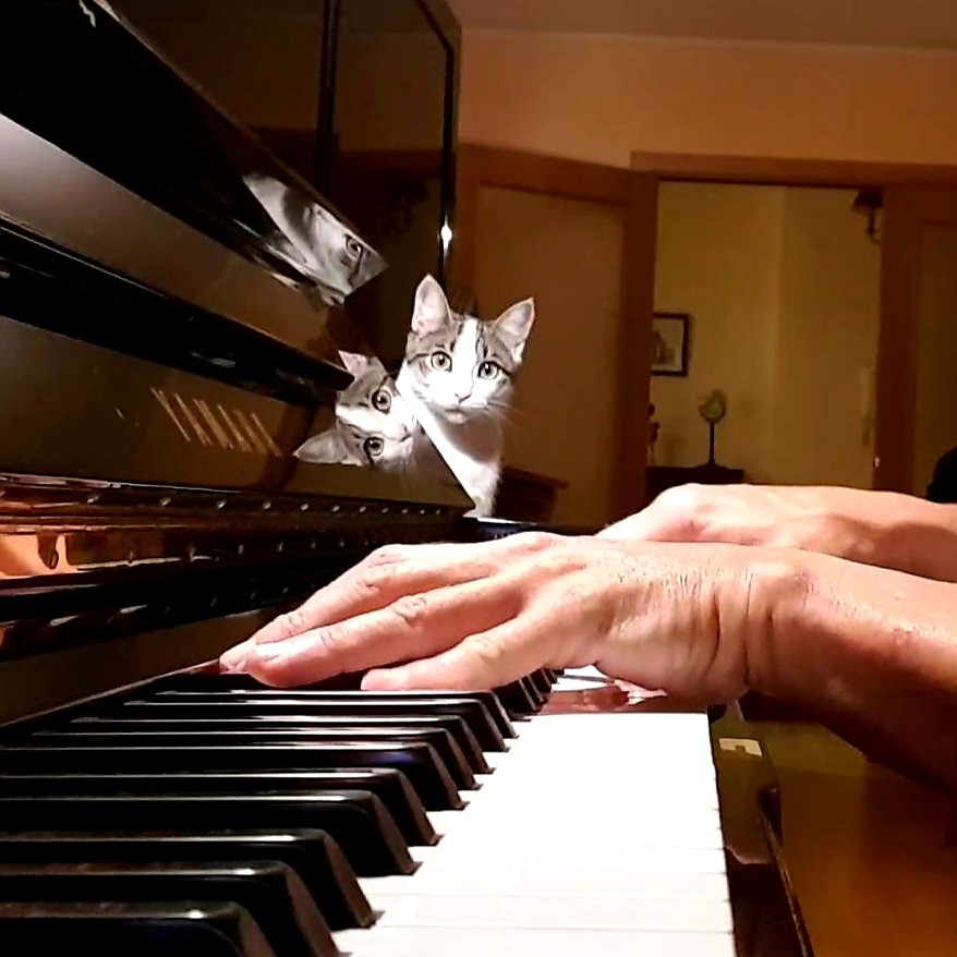 Joan Manuel Verge Monedero