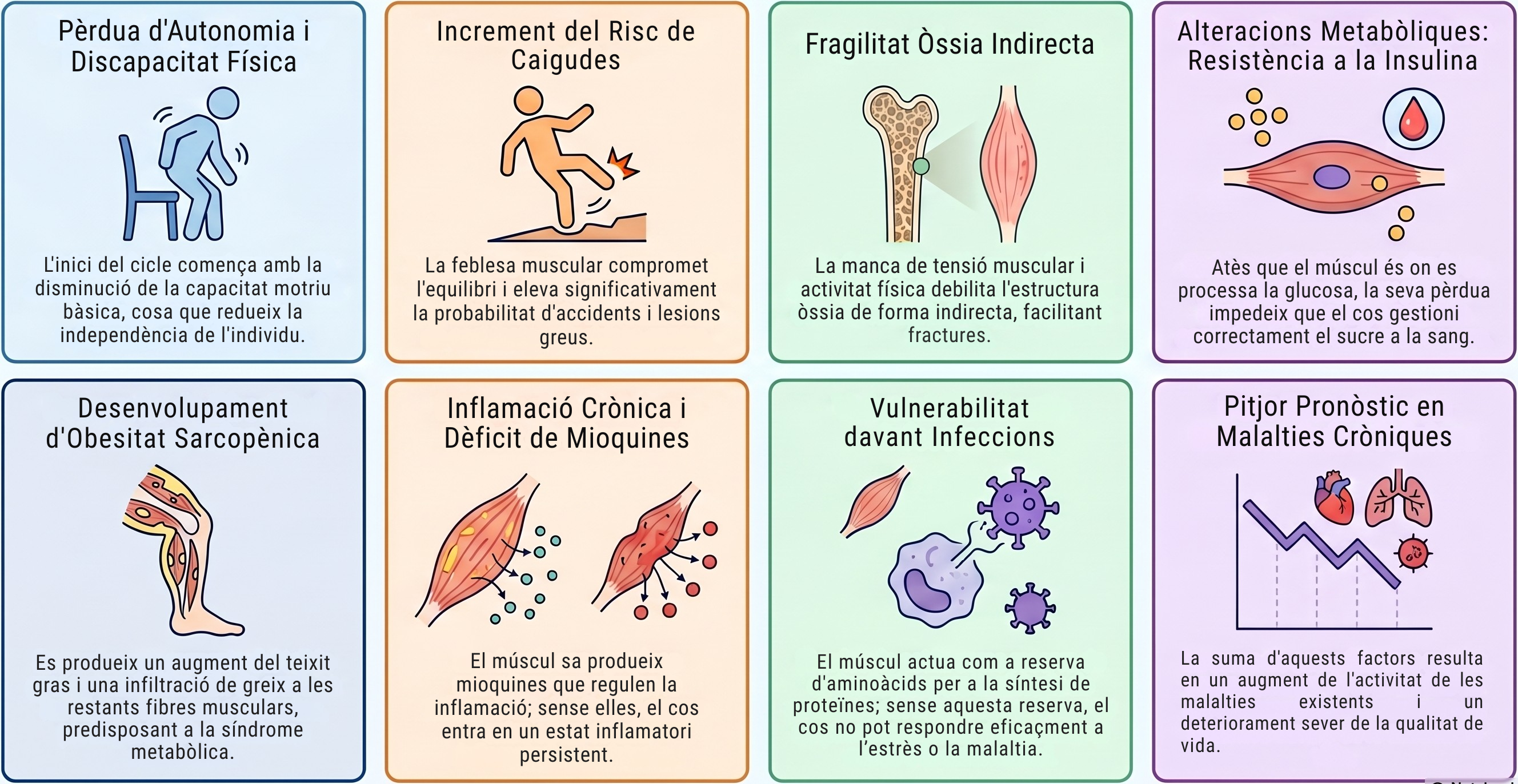sarcopenia