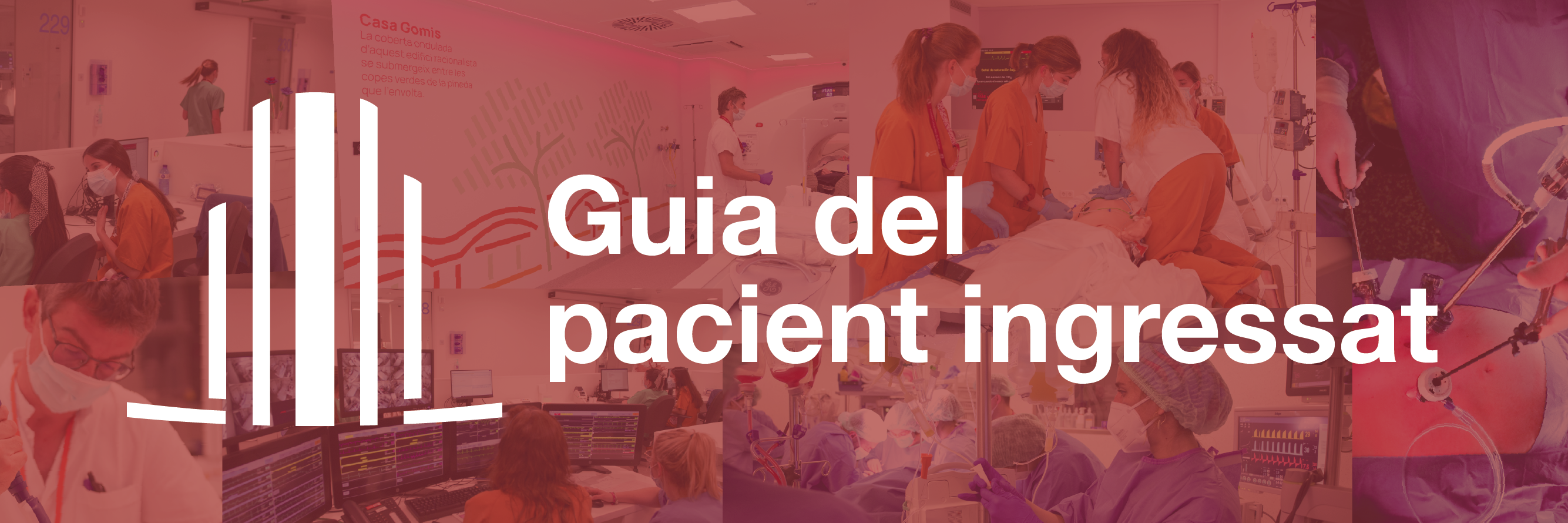 guia del pacient ingressat