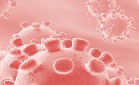 Imatge del Coronavirus pels avisos relacionats