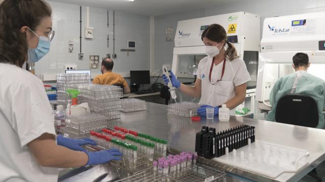 Laboratori Micorbiologia PCR HUB