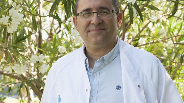 Dr. Fernandez Aranda HUB