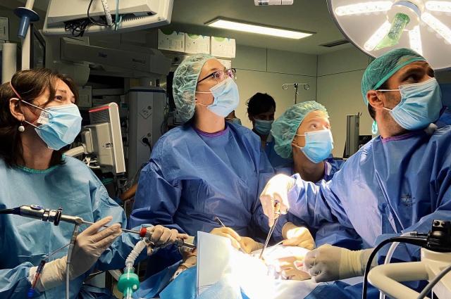 La col•laboració multidisciplinària entre diferents serveis permet realitzar per primera vegada un complex procediment endoscòpic a l’HUB