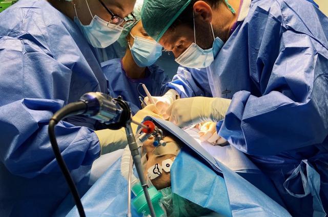 La col•laboració multidisciplinària entre diferents serveis permet realitzar per primera vegada un complex procediment endoscòpic a l’HUB