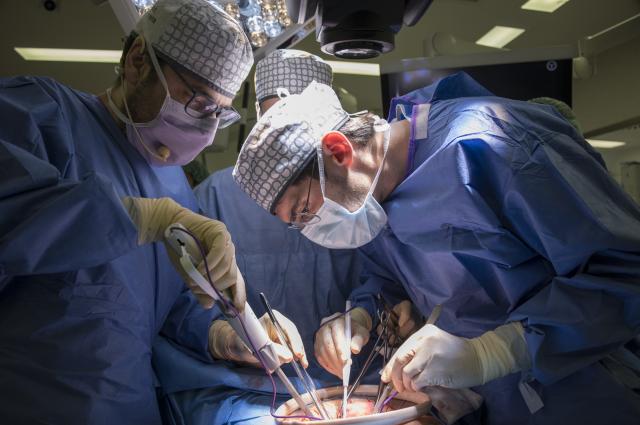 Més de 300 cirurgians ginecològics es formen en les tècniques quirúrgiques més avançades a Bellvitge