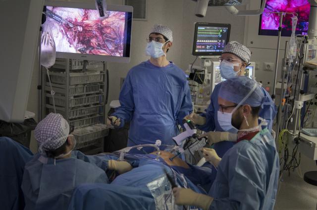 Més de 300 cirurgians ginecològics es formen en les tècniques quirúrgiques més avançades a Bellvitge