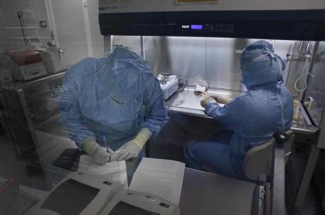 L’Hospital de Bellvitge i el Banc de Sang impulsen una teràpia cel·lular capdavantera per lluitar contra les infeccions en pacients trasplantats