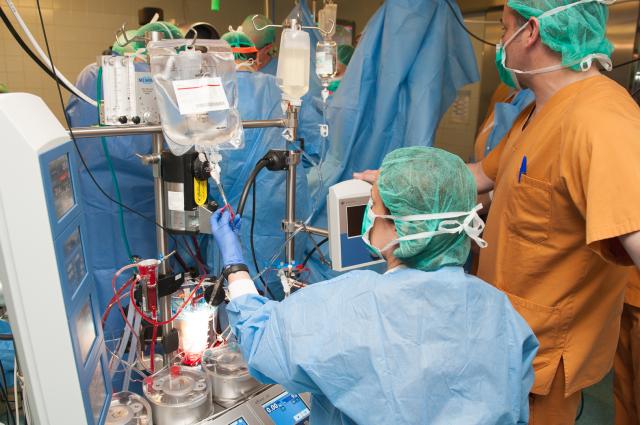 L’Hospital de Bellvitge arriba a les 25.000 circulacions extracorpòries en cirurgia cardíaca