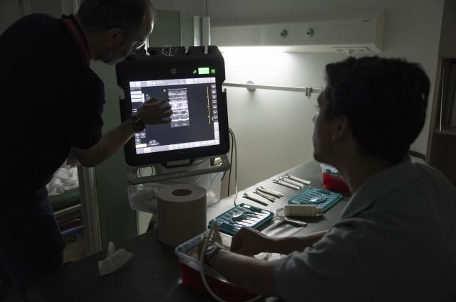 Èxit de l'11a edició del curs "Hands-on Vascular Ultrasound" a l'Hospital de Bellvitge