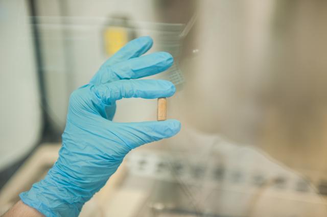 El trasplantament de microbiota fecal emergeix com una alternativa segura i eficaç als antibiòtics per a la infecció de C. difficile