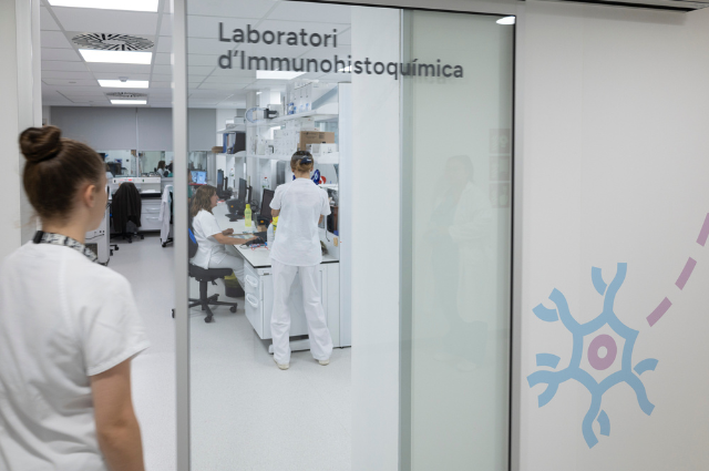 APA laboratori HUB