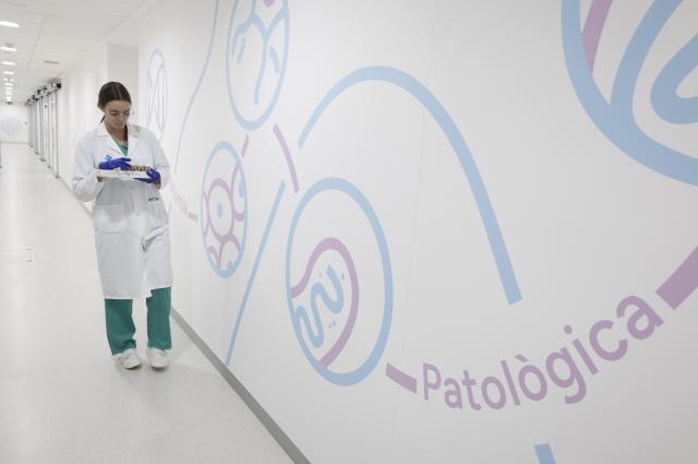 L’Hospital de Bellvitge transforma el Servei d’Anatomia Patològica i el converteix en un dels capdavanters del país