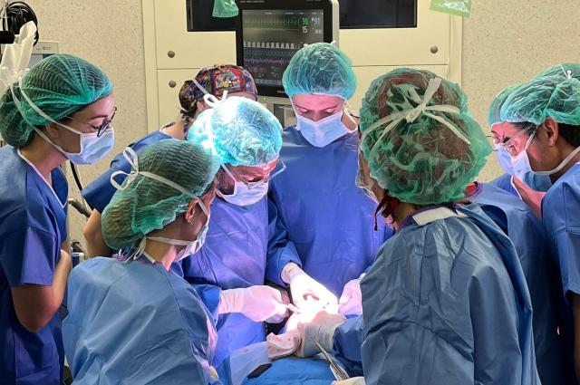 El Servei de Cirurgia Maxil·lofacial organitza dos cursos amb demostracions i cirurgia en directe