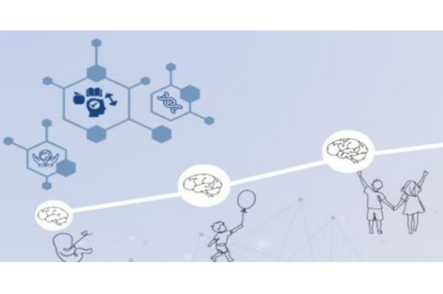 Acte Neuropsicologia HUB
