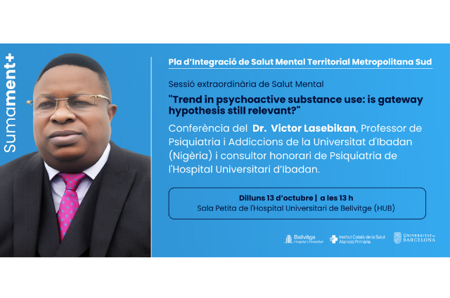 Pla d'integració de Salut Mental Territorial Metropolitana Sud