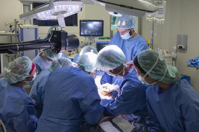 Infermeria en trasplantaments