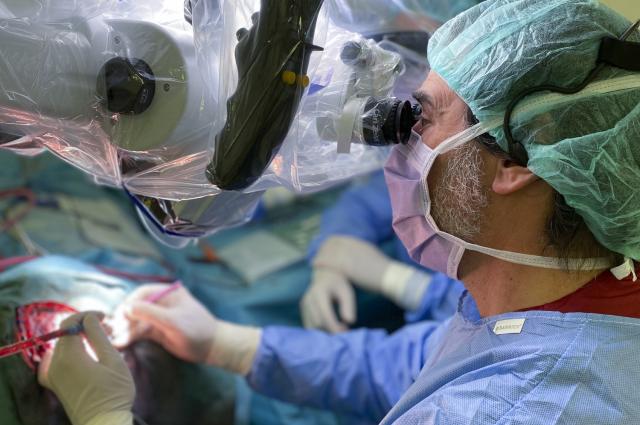 Bellvitge forma especialistes europeus en les cirurgies cerebrals que permeten operar amb la persona desperta