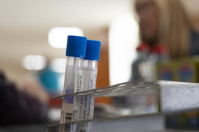 “Fes el match de la teva vida”: Bellvitge col·labora amb el Banc de Sang i la fundació Josep Carreres per sumar donants de medul·la òssia