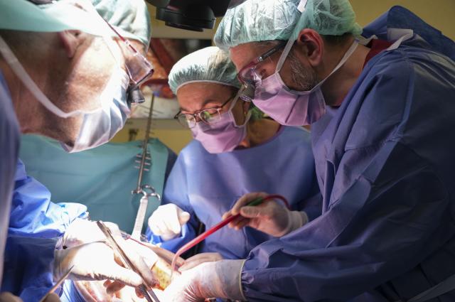  L’Hospital de Bellvitge realitza per 1a vegada a l’Estat dos casos amb doble by-pass (venós i arterial) per extirpar càncers de pàncrees fins ara inoperables