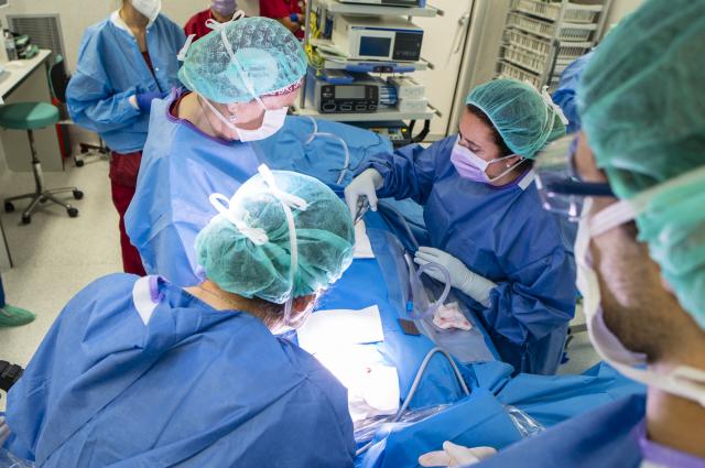 Bellvitge acull la presentació d’un consens estatal que revisa quan cal operar els ganglis en el càncer de mama per evitar seqüeles