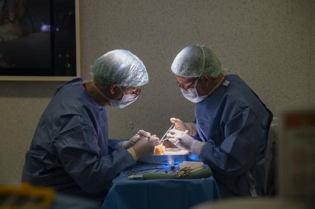 Cinc donants, vint-i-tres vides: la fita de l’hospital de Bellvitge en només cinc dies