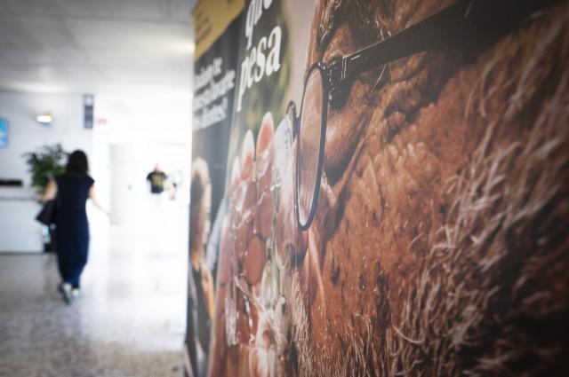Una exposició apropa la realitat quotidiana de les persones amb miastènia
