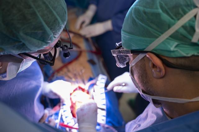 L’Hospital de Bellvitge realitza quatre trasplantaments de cor i implanta quatre assistències ventriculars en una setmana