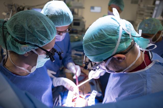 L’Hospital de Bellvitge lidera la consolidació dels cors artificials per al tractament de la insuficiència cardíaca greu