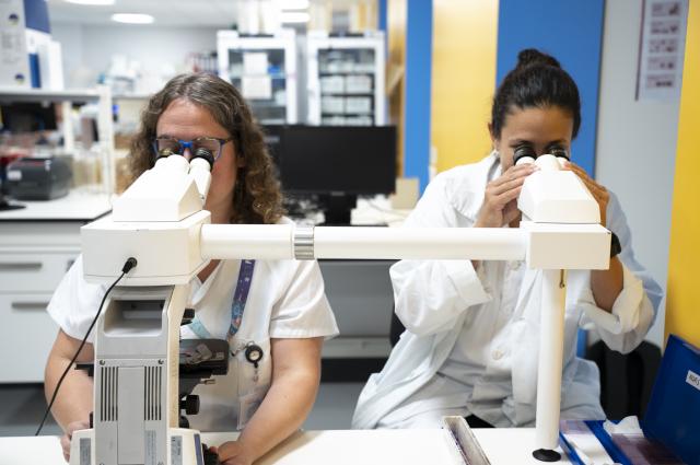 Cinquanta anys de dades de Bellvitge permeten reconstruir amb la genòmica com han canviat el pneumococ, les resistències i la meningitis 