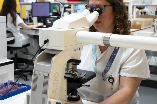 Cinquanta anys de dades de Bellvitge permeten reconstruir amb la genòmica com han canviat el pneumococ, les resistències i la meningitis 