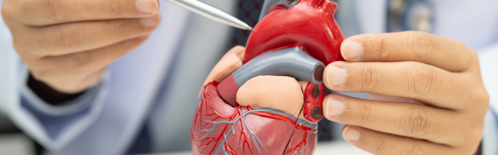 Implantación de válvula aórtica transcatéter (TAVI): toda la información clave