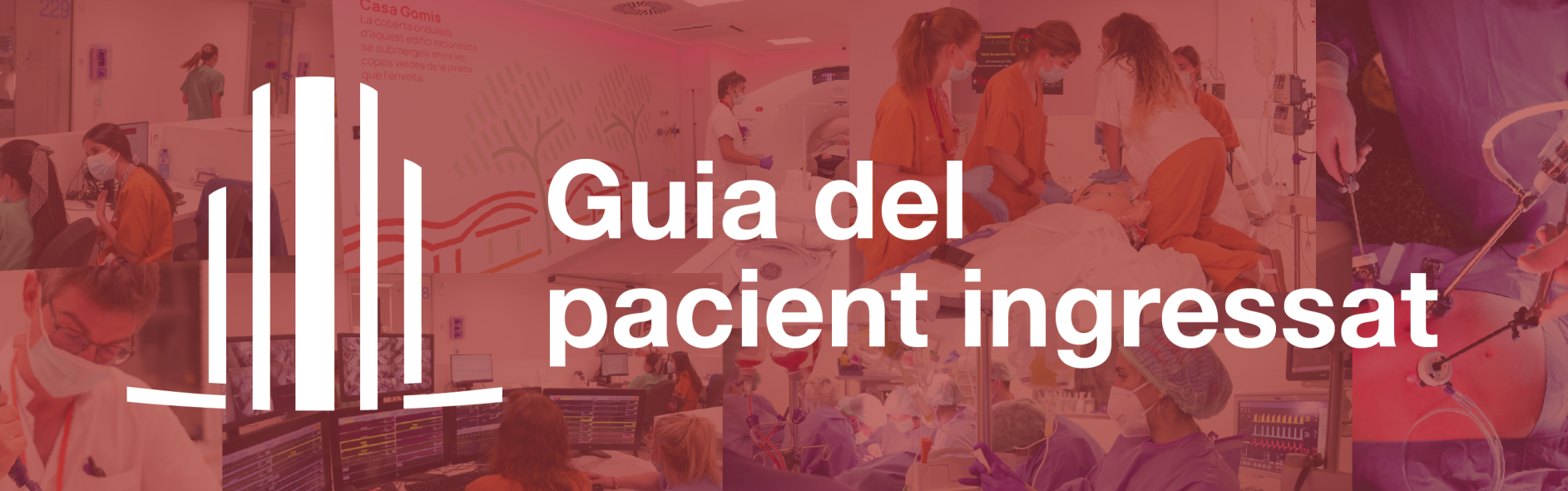 guia del pacient ingressat