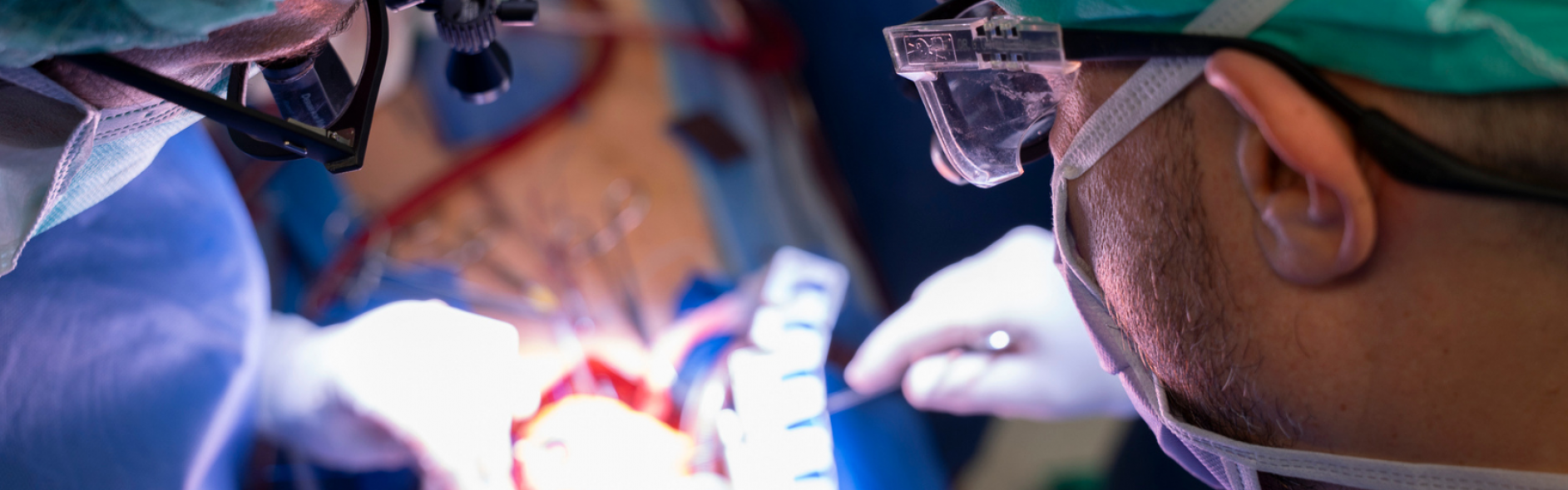 L’Hospital de Bellvitge realitza quatre trasplantaments de cor i implanta quatre assistències ventriculars en una setmana