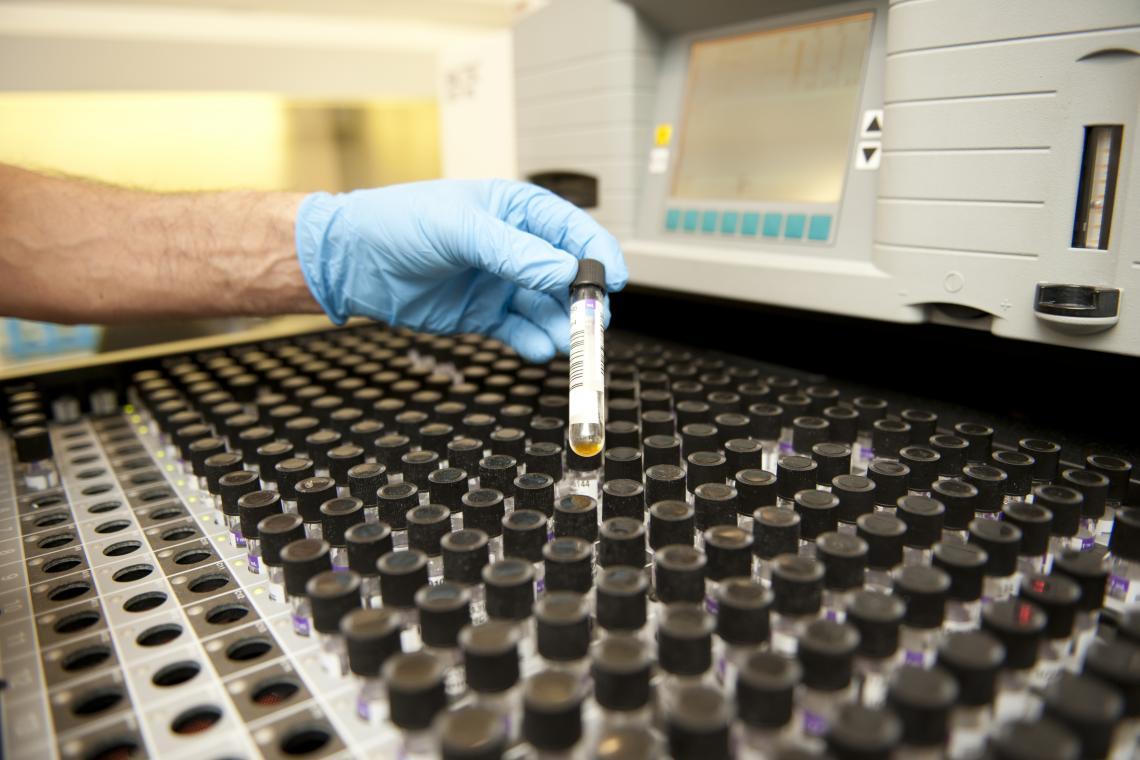 Investiga amb nosaltres