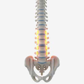 columna lumbar