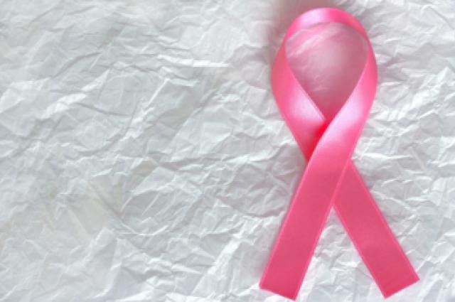 jornada cancer mama hub