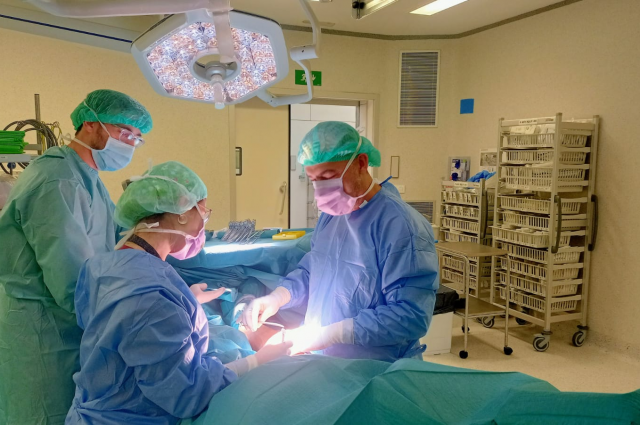 L’Hospital de Bellvitge realitza el primer implant a Catalunya d’un segment de vena fruit de l’enginyeria de teixits