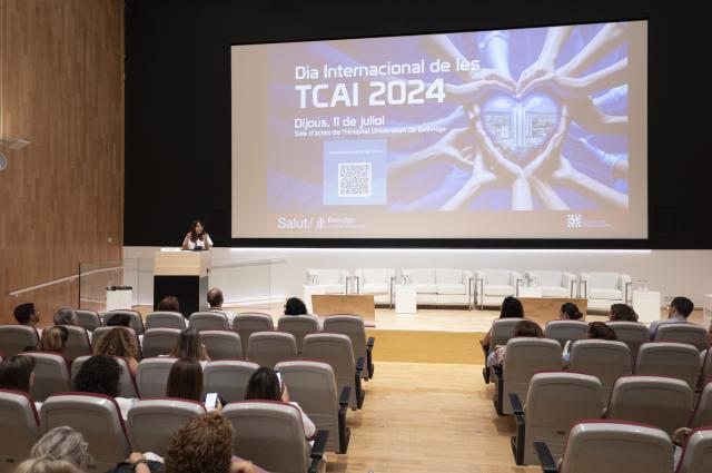 Dia de les TCAI 2024