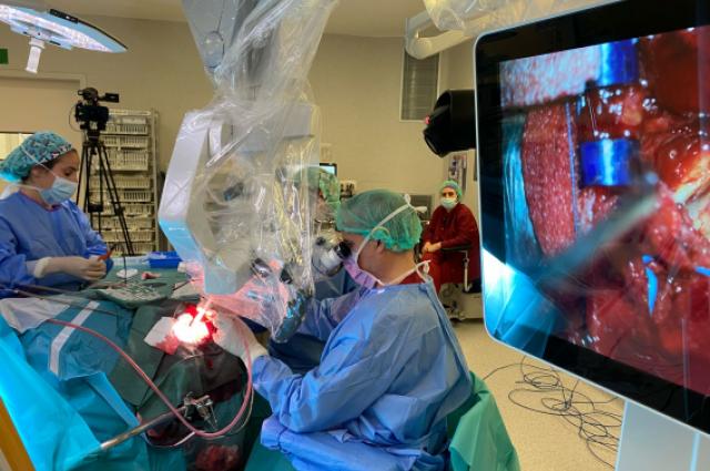 Curs base de crani HUB 2025