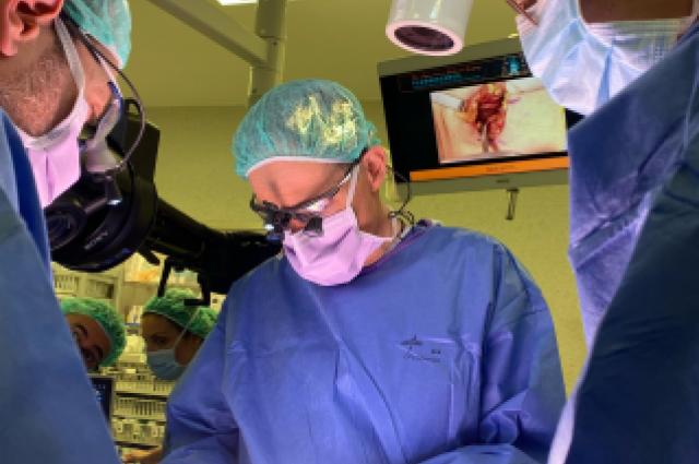 Curs Tiroides HUB 2025