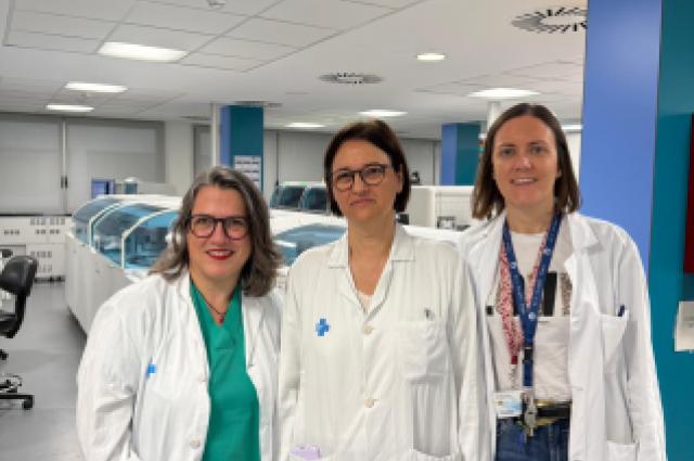 Bellvitge identifica una proteïna clau per predir el dany cerebral després d’una aturada cardiorespiratòria