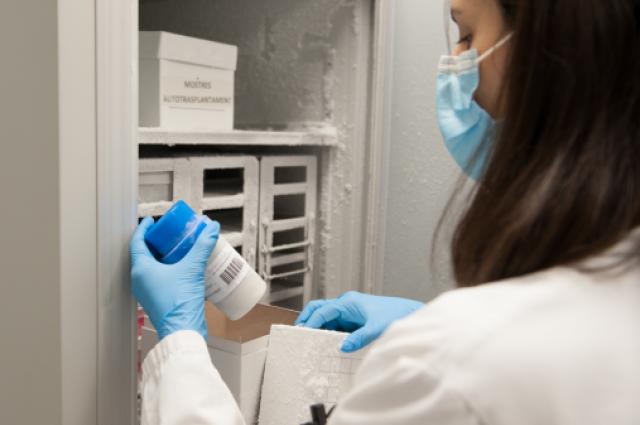 Catalunya impulsa el primer banc públic de microbiota de l’Estat per tractar algunes infeccions intestinals greus